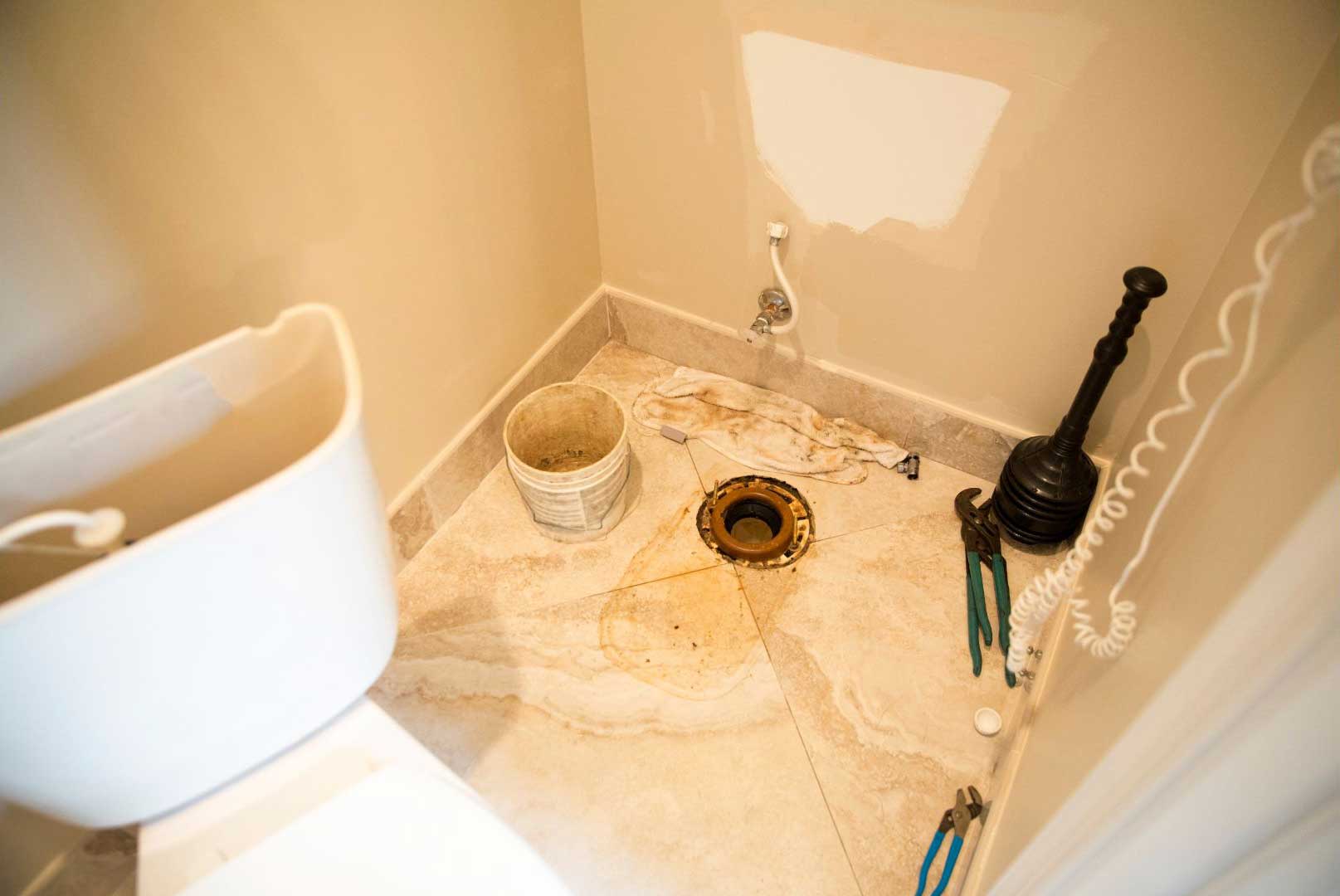 1 Toilet Replacements in Phoenix, AZ, With 5Star Reviews