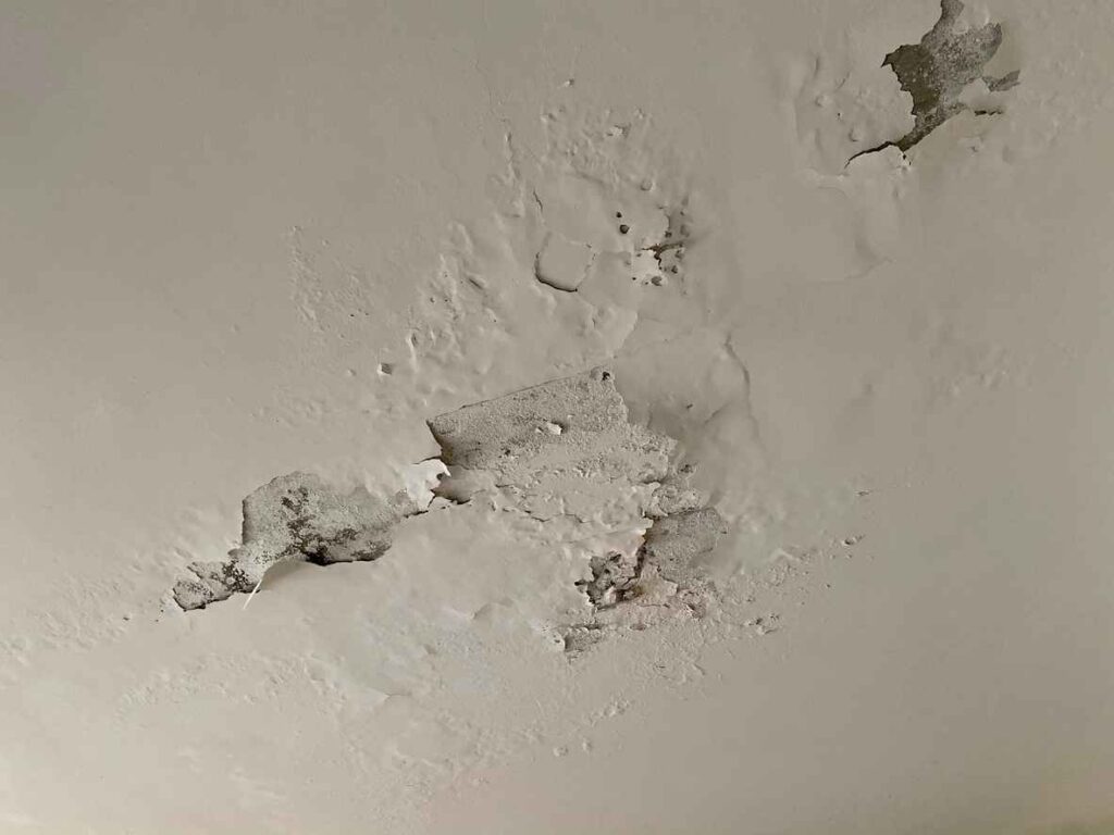 Cement plaster on a wall is damaged due to dampness
